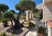 Chalet independiente con terreno en venta en la España, el Perelló, ref: TR408661 foto