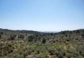 Chalet independiente con terreno en venta en la España, el Perelló, ref: TR408661 foto