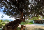 Chalet independiente con terreno en venta en la España, Ontinyent, ref: TR409830 foto