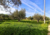 Chalet independiente con terreno en venta en la España, Ontinyent, ref: TR409830 foto
