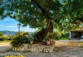 Detached villa with land for sale on España, Ontinyent, ref: TR411798 photo