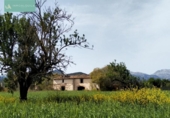 Chalet independiente con terreno en venta en la España, Binissalem, ref: TR142149 foto