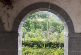 Foto 12