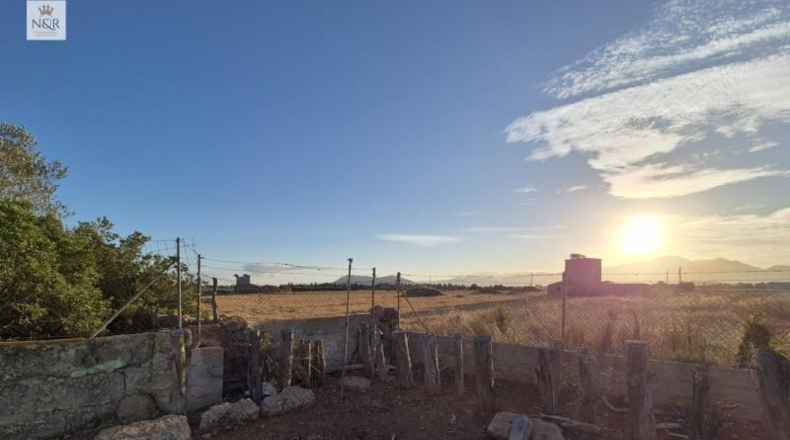 Islas Baleares - Muro - 18400m2