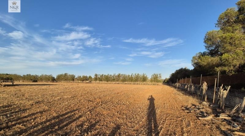 Islas Baleares - Muro - 18400m2