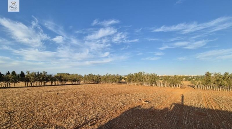 Islas Baleares - Muro - 18400m2