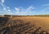 Detached villa with land for sale on España, Muro, ref: TR167602 photo
