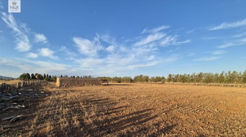 Islas Baleares - Muro - 18400m2