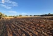Detached villa with land for sale on España, Muro, ref: TR167602 photo