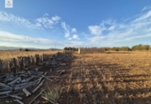 Detached villa with land for sale on España, Muro, ref: TR167602 photo