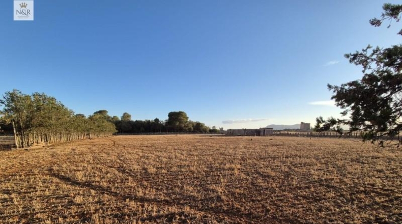 Islas Baleares - Muro - 18400m2