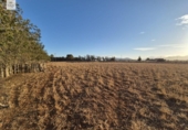 Detached villa with land for sale on España, Muro, ref: TR167602 photo