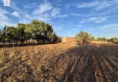 Detached villa with land for sale on España, Muro, ref: TR167602 photo