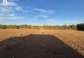 Detached villa with land for sale on España, Muro, ref: TR167602 photo