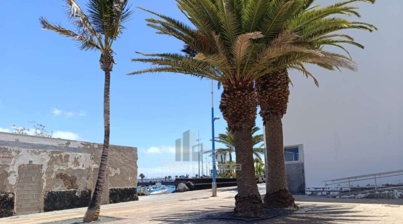 Las Palmas - Arrecife - 198m2