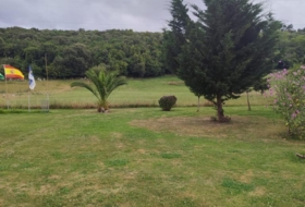Foto 10