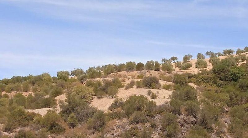 Sevilla - Morón de la Frontera - 361708m2