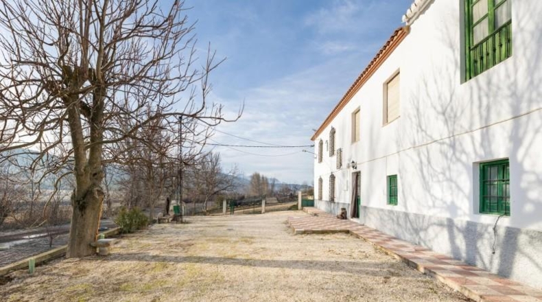 Granada - Láchar - 24327m2