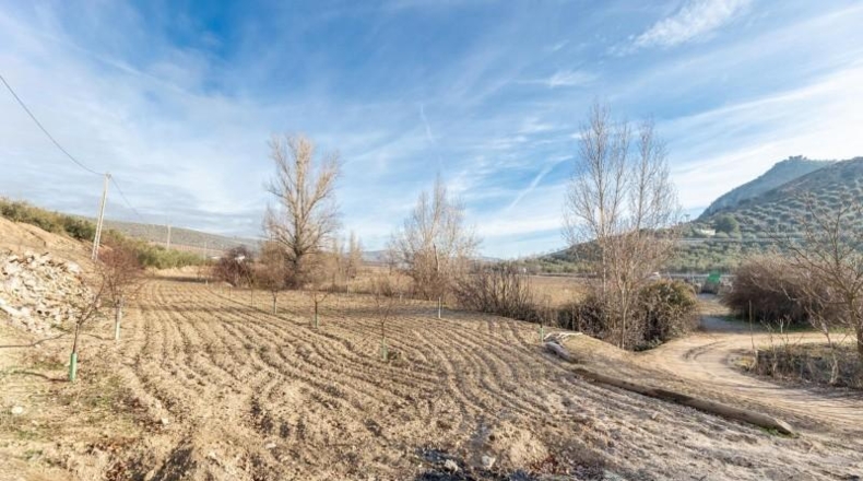 Granada - Láchar - 24327m2