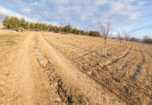 Country house with land for sale on España, Láchar, ref: TR409835 photo