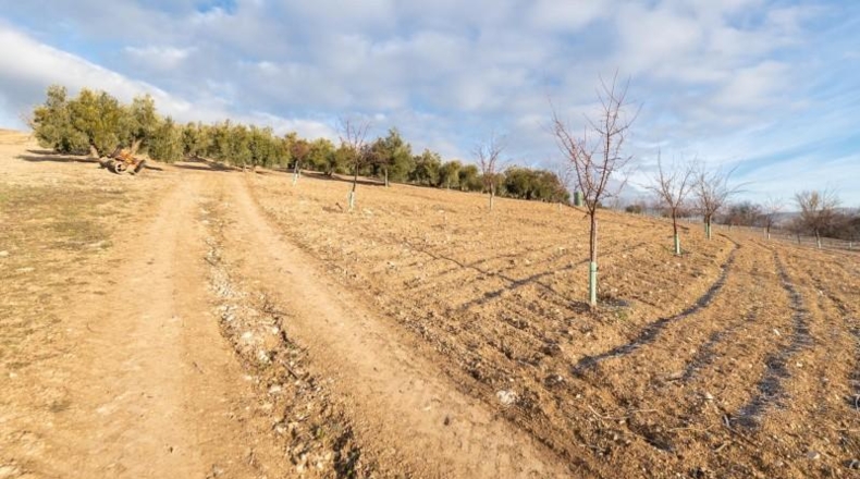 Granada - Láchar - 24327m2
