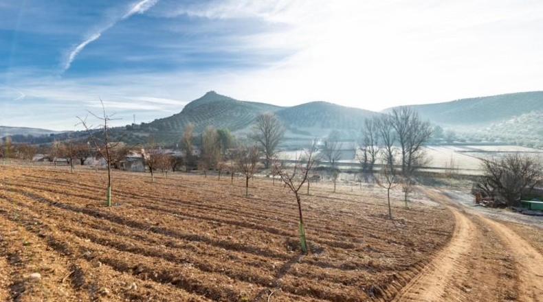 Granada - Láchar - 24327m2