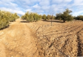 Country house with land for sale on España, Láchar, ref: TR409835 photo