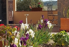 Foto 14