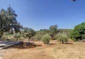 Casa de camp amb terreny en venda a la España, Adamuz, ref.: TR386976 foto
