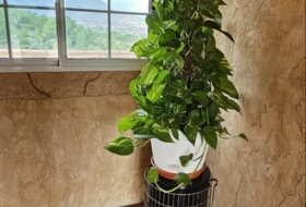 Foto 7