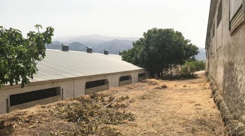 Granada - Padul - 3698m2