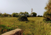 Country house with land for sale on España, Alaior, ref: TR138420 photo