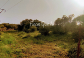Country house with land for sale on España, Alaior, ref: TR138420 photo
