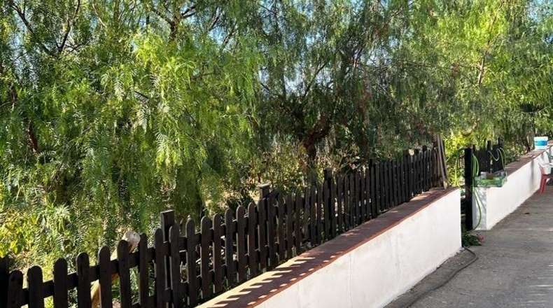 Granada - Villanueva Mesía - 2500m2