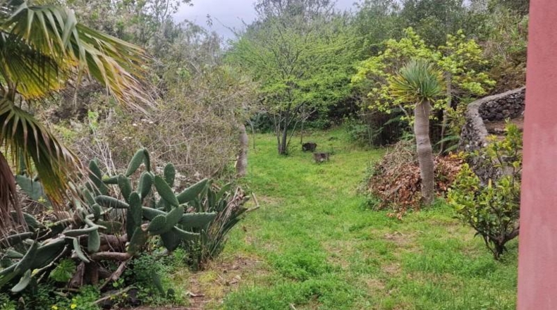 Santa Cruz de Tenerife - Icod de los Vinos - 5292m2