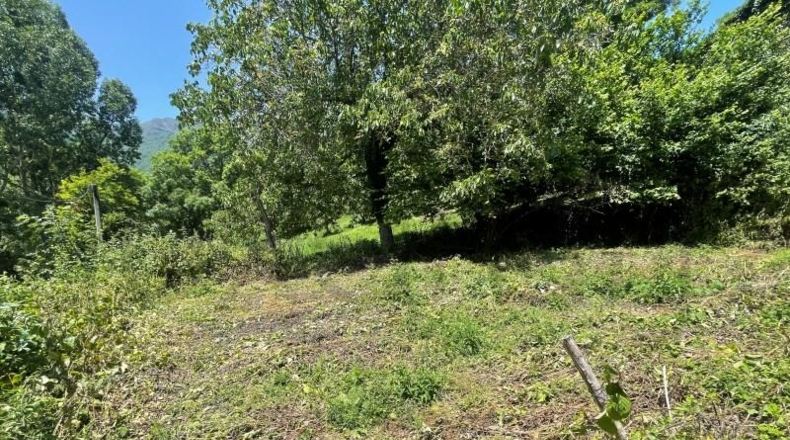 Lerida - Bausén - 592m2