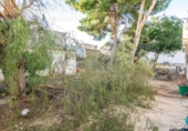 Chalet independiente con terreno en venta en la España, Redován, ref: TR340298 foto