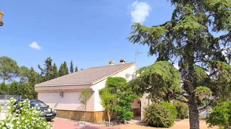 Murcia - Yecla - 5000m2