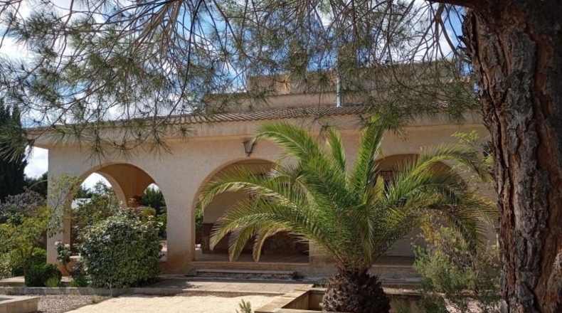 Murcia - Yecla - 5000m2