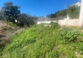 Xalet independent amb terreny en venda a la España, Alcolea, ref.: TR349793 foto