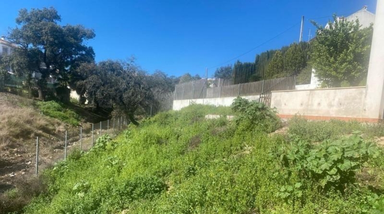 Córdoba - Còrdova - 689m2