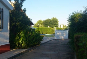 Foto 15