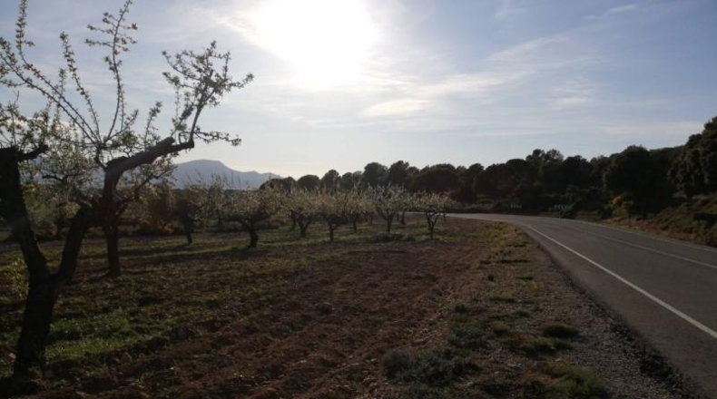 Alicante - Ibi - 299654m2