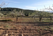 Terreny no urbanitzable en venda a la España, Ibi, ref.: TR112938 foto