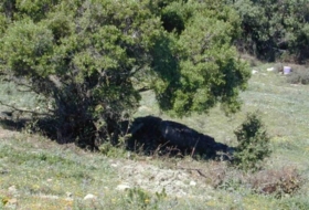 Tarifa 20000&nbsp;m²