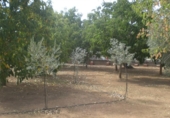 Xalet independent amb terreny en venda a la España, Belmez, ref.: TR134772 foto