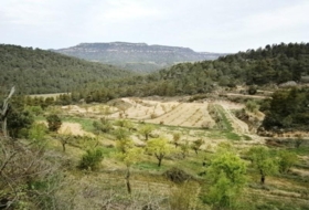 Foto 9