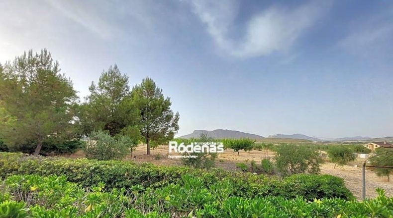 Murcia - Jumilla - 14500m2