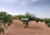 Chalet independiente con terreno en venta en la España, Montealegre del Castillo, ref: TR139977 foto