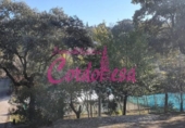 Casa de camp amb terreny en venda a la España, Alcolea, ref.: TR141364 foto